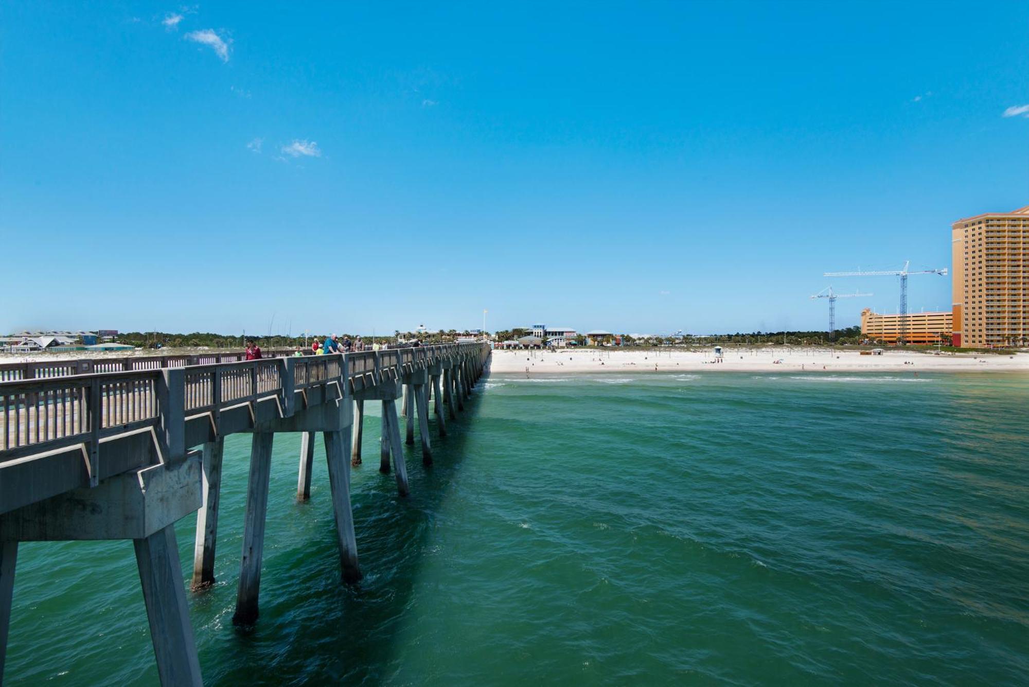 219 Palmetto Pl 2 - Sea Shore Holiday home